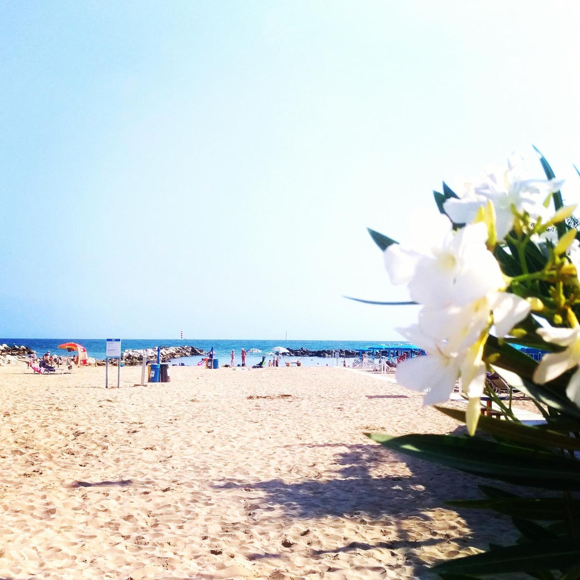 Hotel Hamiltown Cattolica Esterno foto